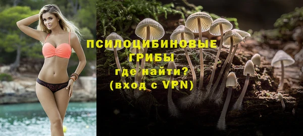 не бодяженный Абаза