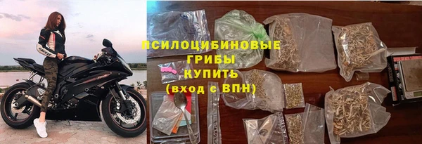 гашик Абинск